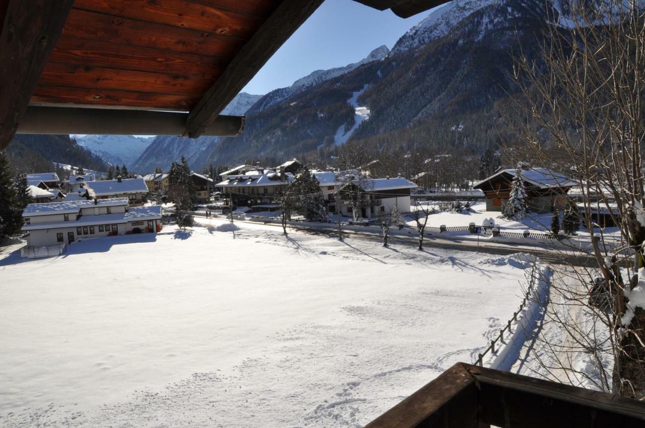 Flora Alpina apartments-Residenza Verdebjo Gressoney-Saint-Jean Exterior foto