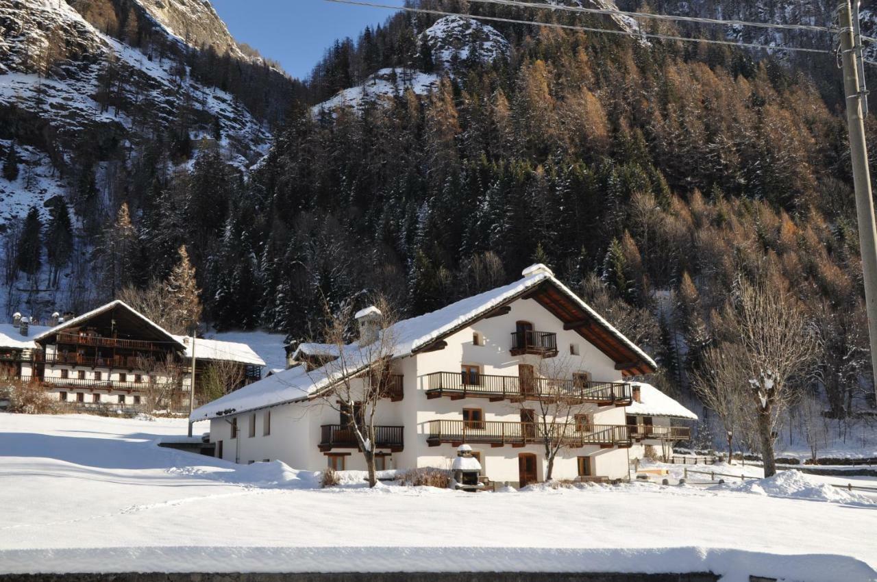 Flora Alpina apartments-Residenza Verdebjo Gressoney-Saint-Jean Exterior foto