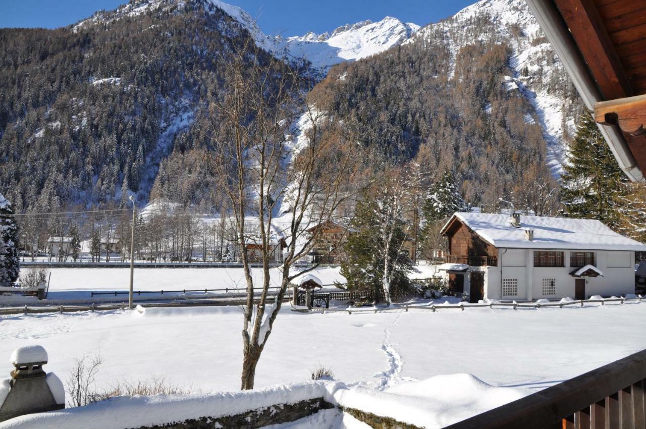 Flora Alpina apartments-Residenza Verdebjo Gressoney-Saint-Jean Exterior foto